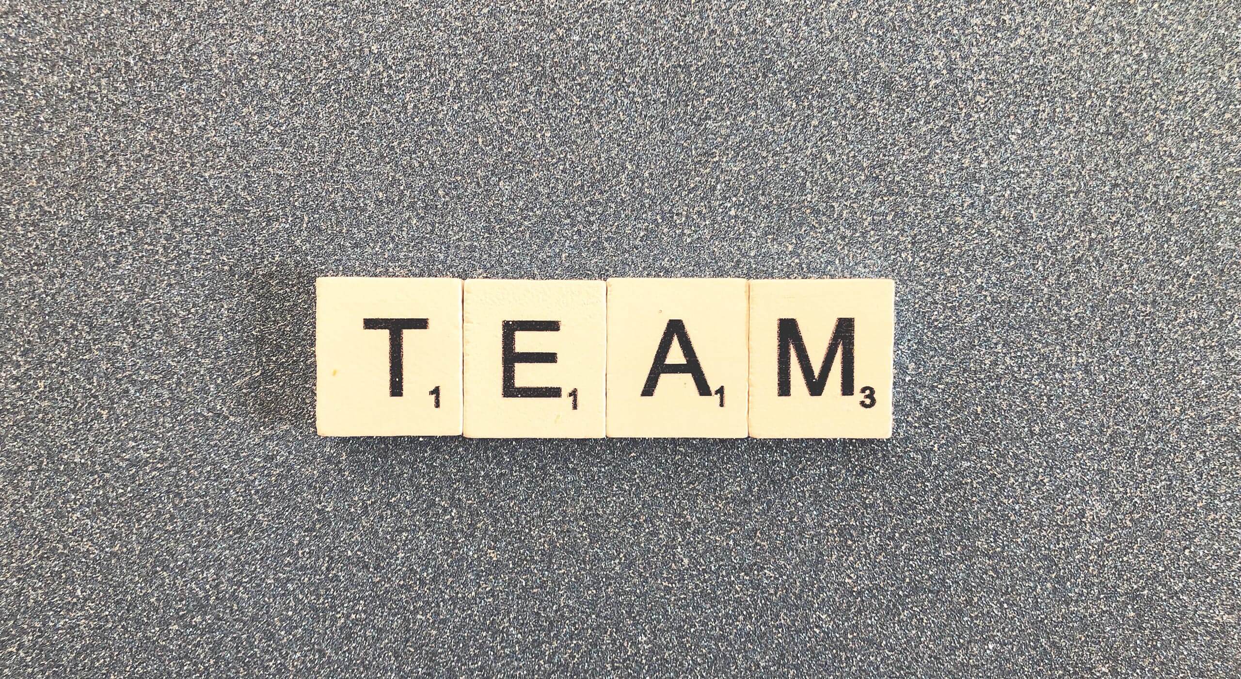 sudeck_concept_team